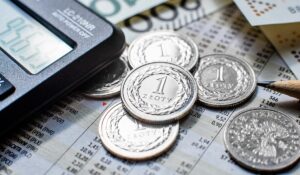 Monety złoty, kalkulator, tabela finansowa