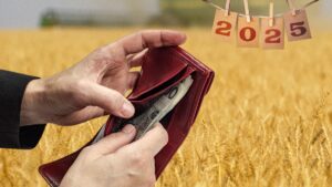 Portfel z pieniędzmi na tle pola, rok 2025.