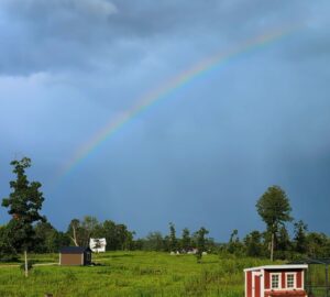 Tęcza nad zielonymi polami i małymi domkami.