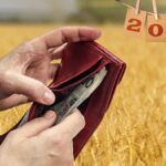 Portfel z pieniędzmi na tle pola, rok 2025.